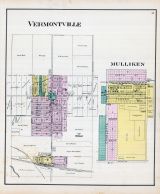 Vermontville, Mulliken, Eaton County 1895